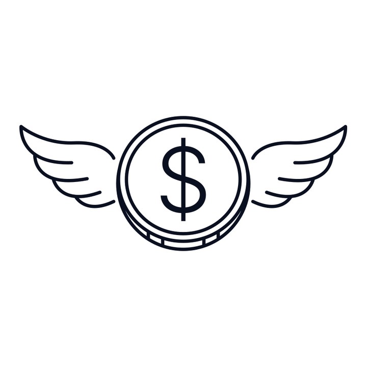 Angel Investor
